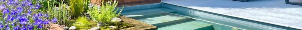Pièce d'eau et bac en acier corten de chez ADEZZ.
