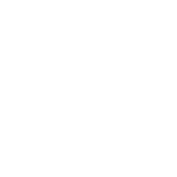 Logo minimaliste de l'entreprise